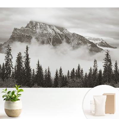 Tapeta na zeď Horská krajina obklopená mlhou