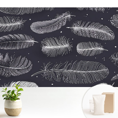 Tapeta do obyvaku Peří na tmavém pozadí