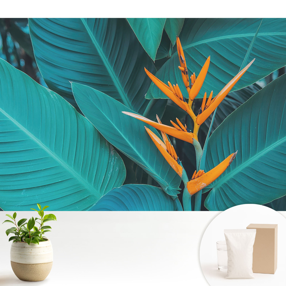 Tapeta s motivem exotických rostlin