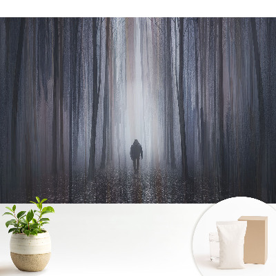 Tapeta do obývacího pokoje s motivem osamělé postavy v tajemném lese