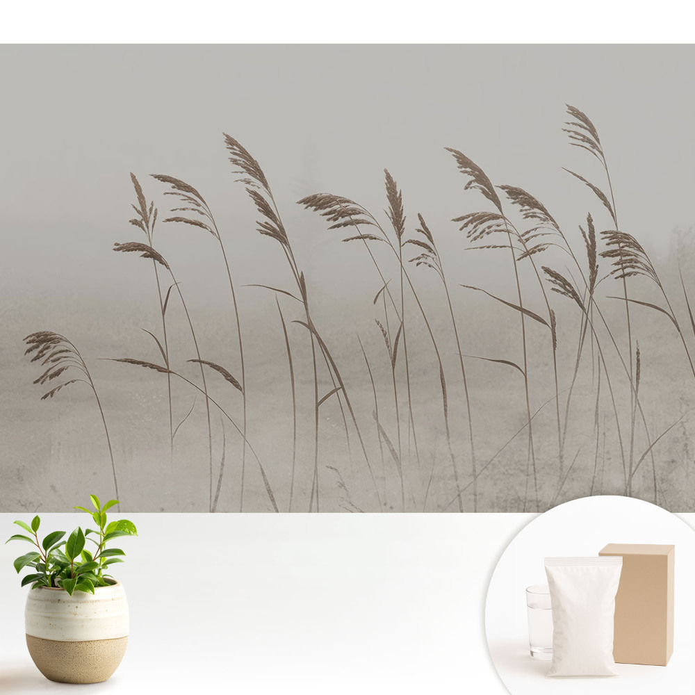 Tapeta s motivem jemných stébel trávy v mlhavé auře