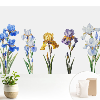 Tapeta na zeď s motivem barevných květů kosatců na bílém pozadí