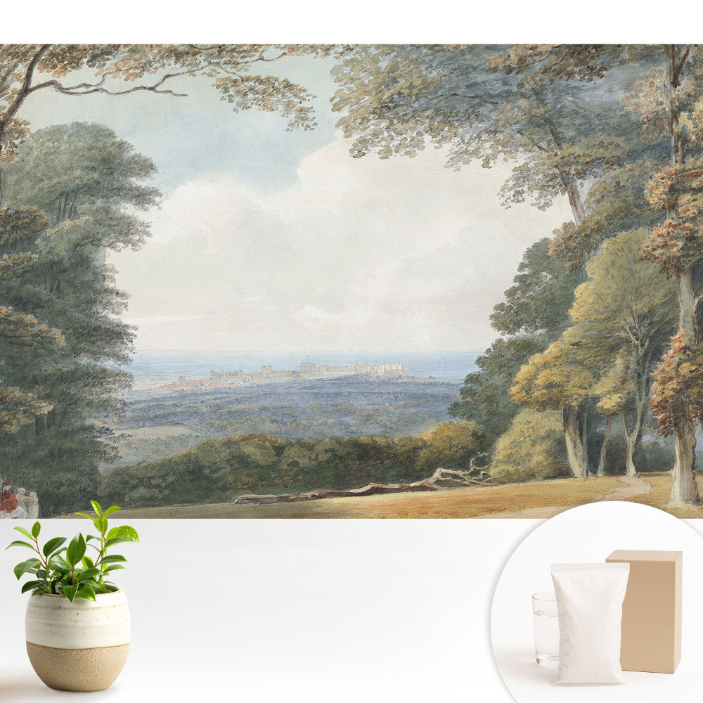 Tapeta na zeď s motivem krajiny u lesa a výhledem na město