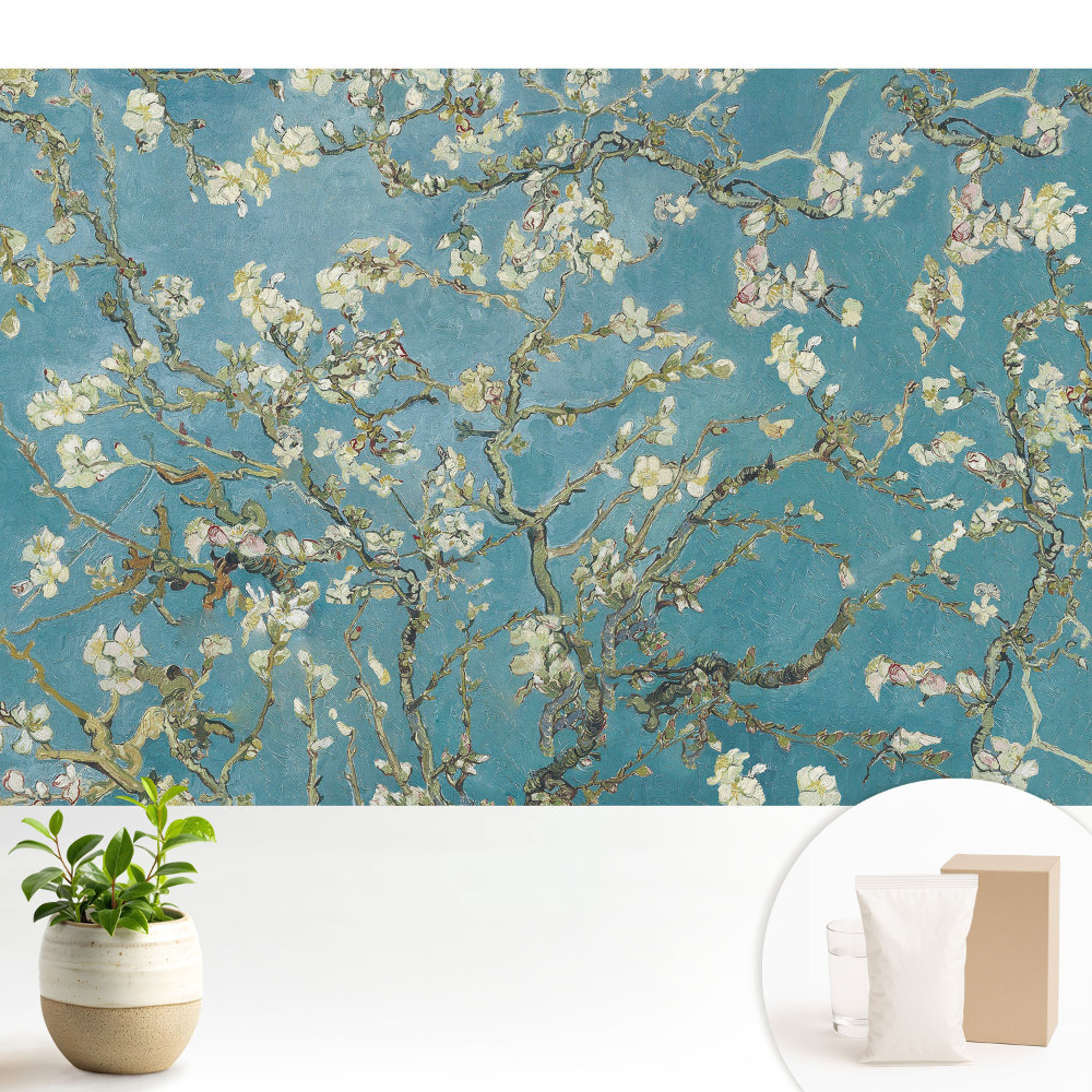 Tapeta s motivem mandlových větví a květů