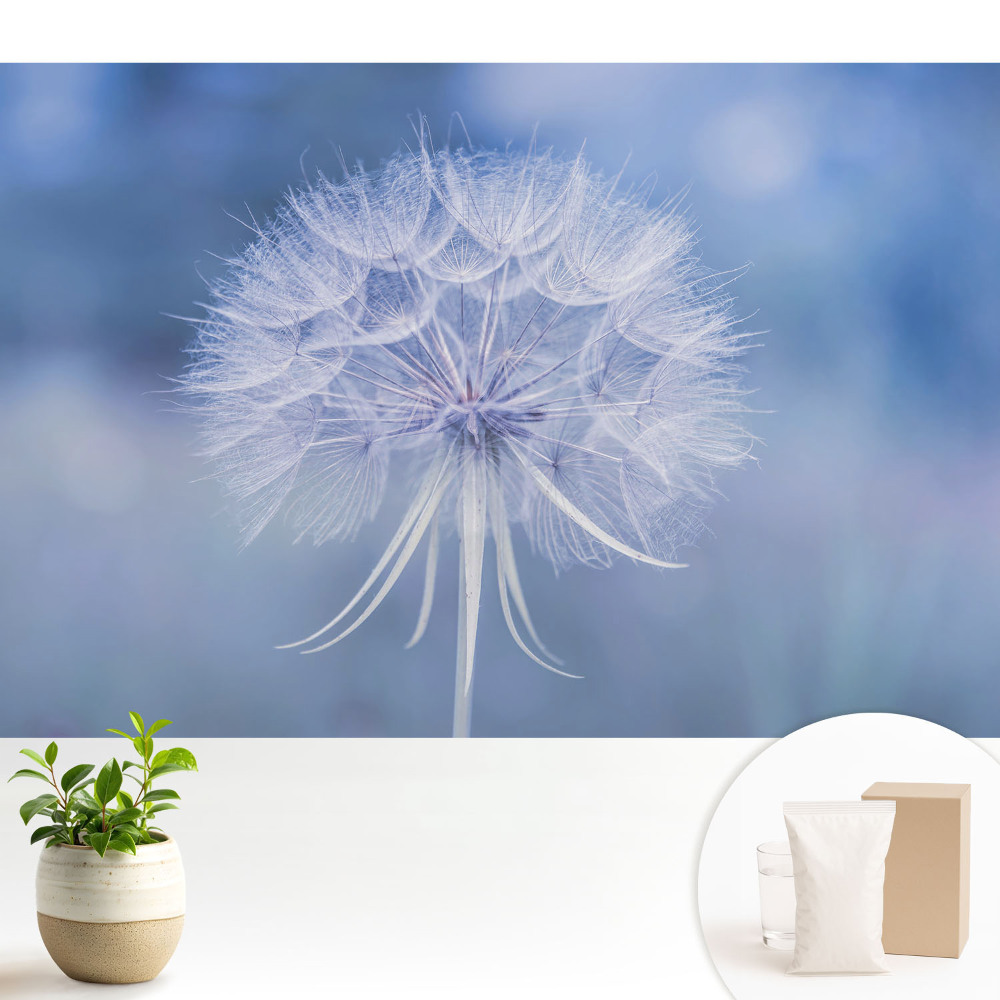 Tapeta na zeď s pampeliškovým motivem v modrých tónech