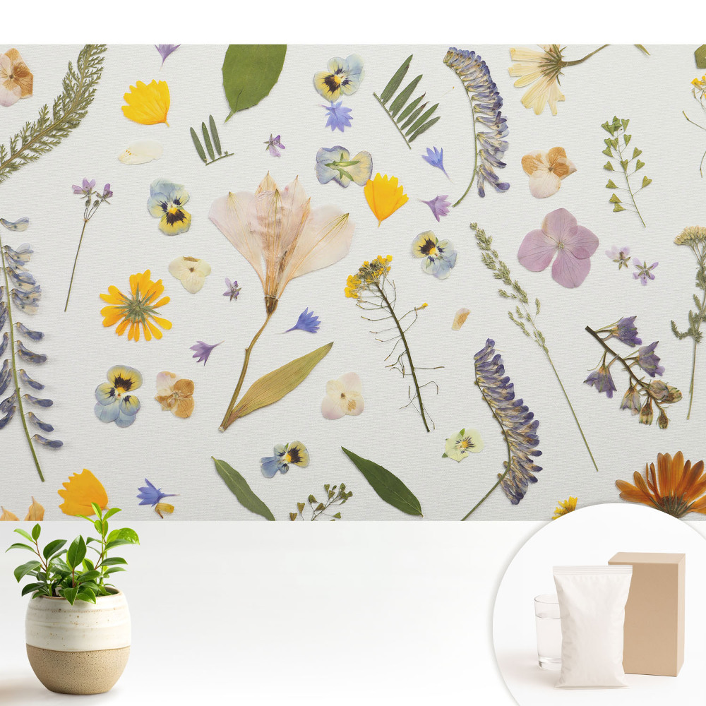 Samolepící tapeta se vzorem sušených květin na bílém podkladu