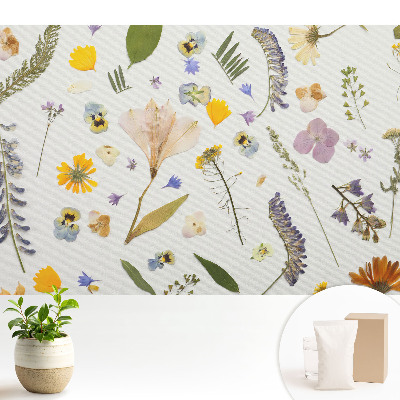 Samolepící tapeta Sušené květiny na bílém plátně