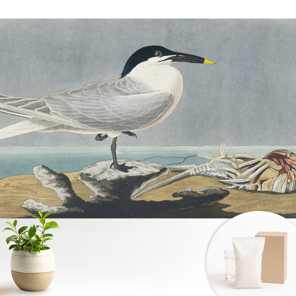 Tapeta do obývacího pokoje s motivem elegantního ptáka na mořském pozadí