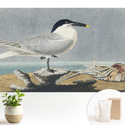 Tapeta do obývacího pokoje s motivem elegantního ptáka na mořském pozadí