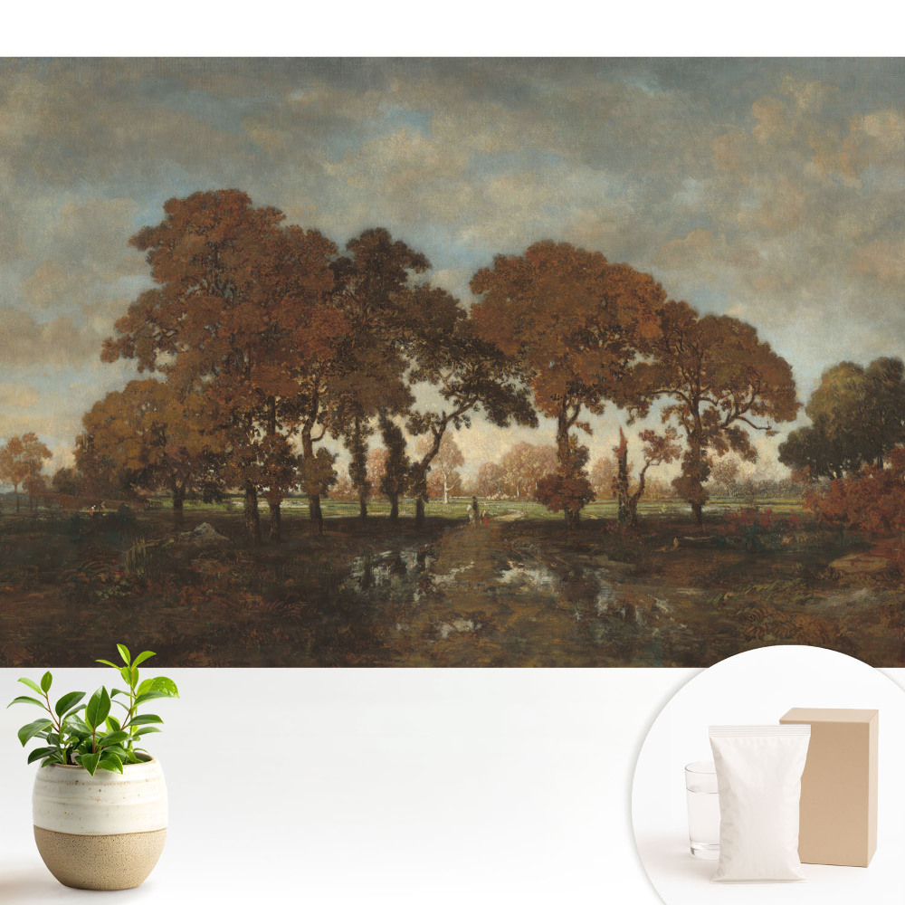 Tapeta na zeď s motivem podzimních stromů v rustikální krajině