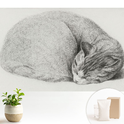 Tapeta do obývacího pokoje s realistickým motivem spící kočky