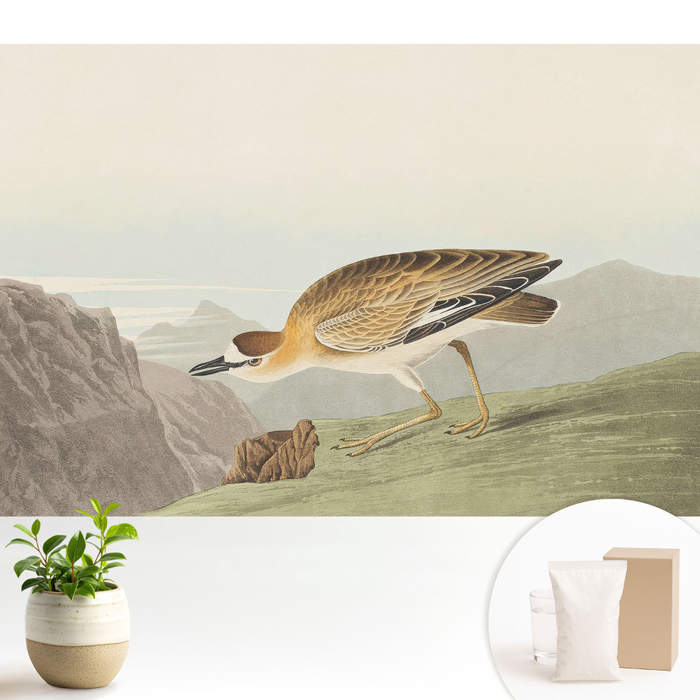 Samolepicí tapeta s motivem ptáka na úbočí hory