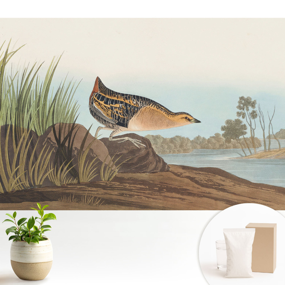 Tapeta do obývacího pokoje „Pták nad vodou“ v klasickém stylu