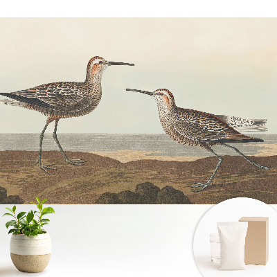 Tapeta Dva ptáci na břehu moře