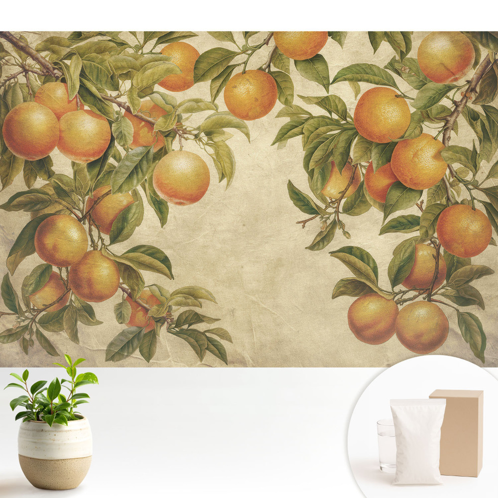 Samolepicí tapeta s jemnými větvemi a motivem plodů citrusů