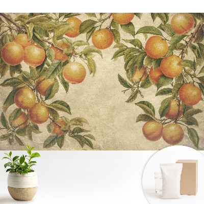 Samolepící tapeta Jemné větve plné citrusových plodů