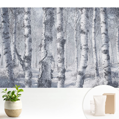 Tapeta na zeď Zimní březový les