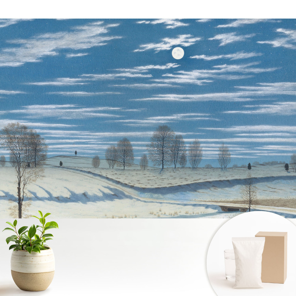 Tapeta s náladovou zimní krajinou pod měsícem