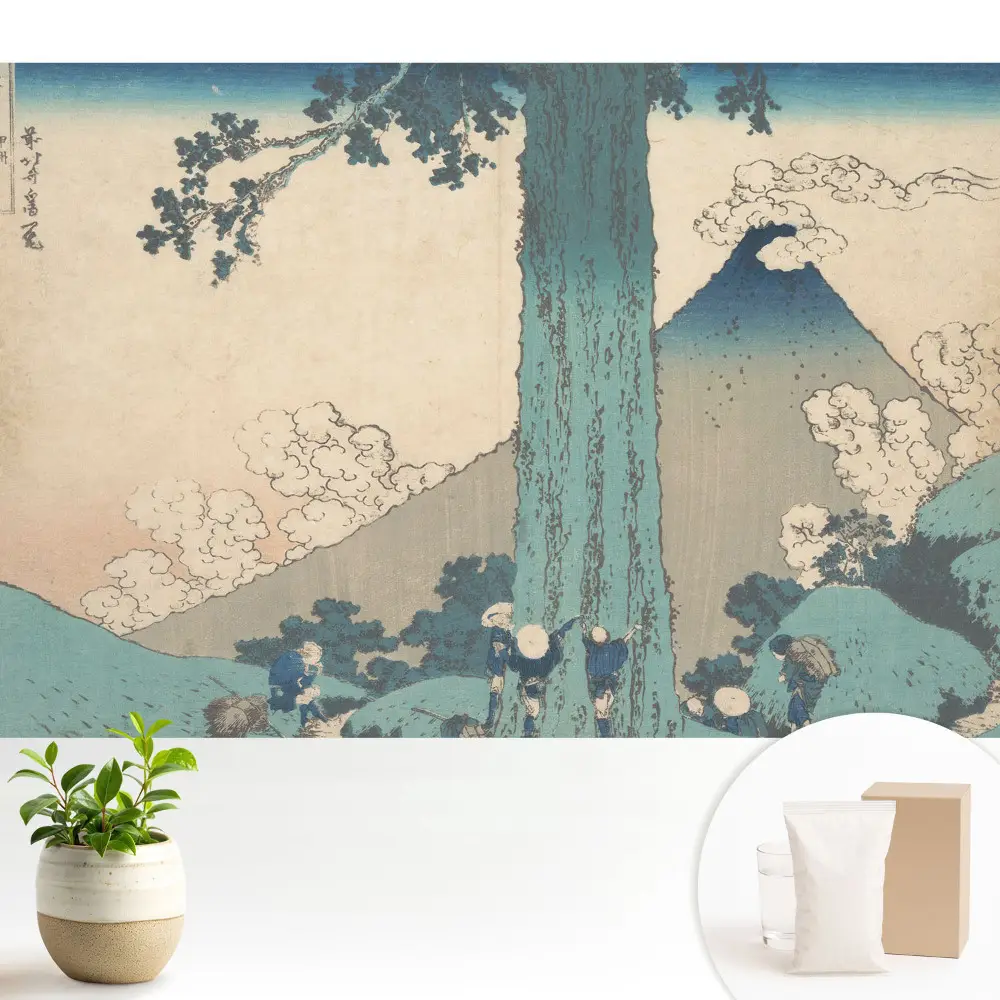 Tapeta Japonská krajinářská estetika harmonie