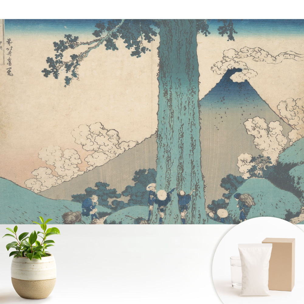 Tapeta s japonským krajinářským motivem vyjadřujícím estetiku a harmonii