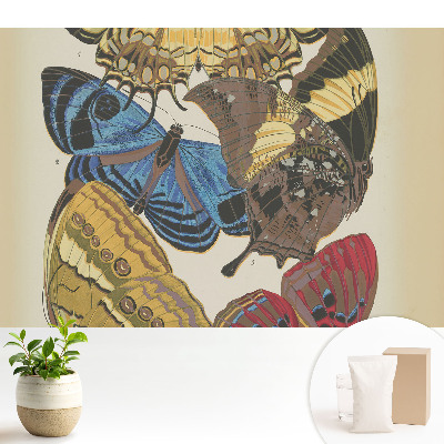 Samolepící tapeta Barevní motýli v elegantní kompozici