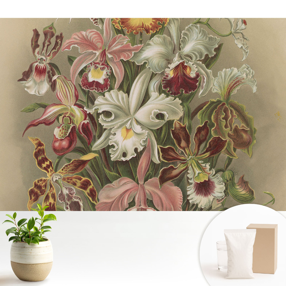 Tapeta do obývacího pokoje „Harmonie přírody“ s motivem exotických květin
