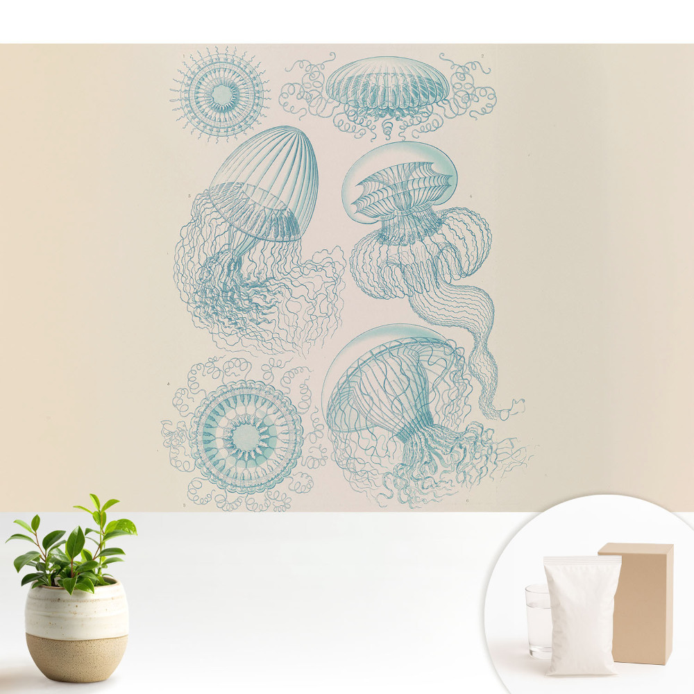 Tapeta s jemným motivem mořských medúz
