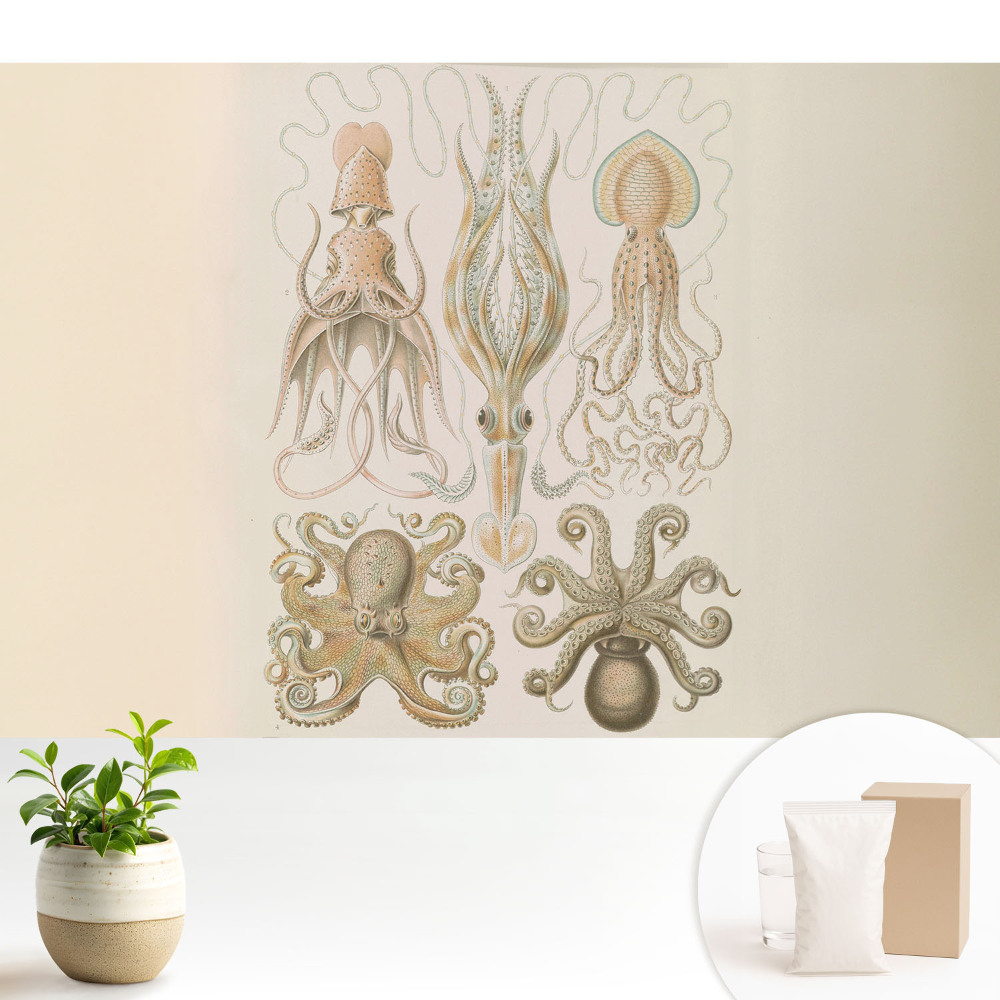 Samolepící tapeta s motivem mořských hlavonožců v harmonickém provedení