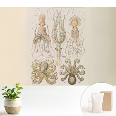 Samolepící tapeta Mořští hlavonožci, harmonie detailů
