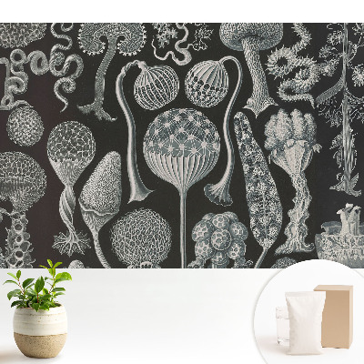 Tapeta Fantastické organické tvary v černé a bílé