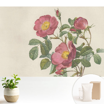 Tapeta na zeď Divoké růže v klasické kompozici