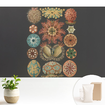 Samolepící tapeta s abstraktními mořskými tvary v klasickém stylu