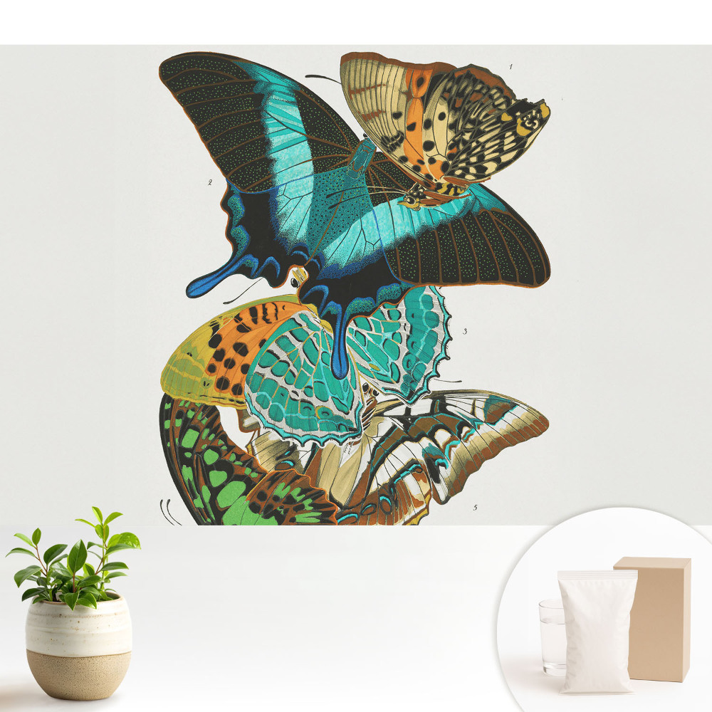 Tapeta s barevnými motýly v klasické harmonické kompozici