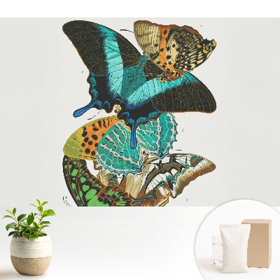 Tapeta Barevné motýli klasická harmonická kompozice