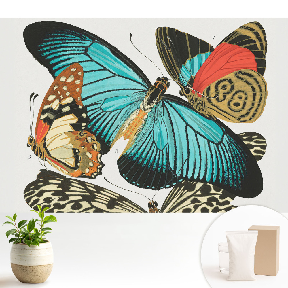 Tapeta na zeď s motivem barevných motýlů v klasickém stylu