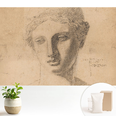 Tapeta na zeď Klasická grafika ženské tváře