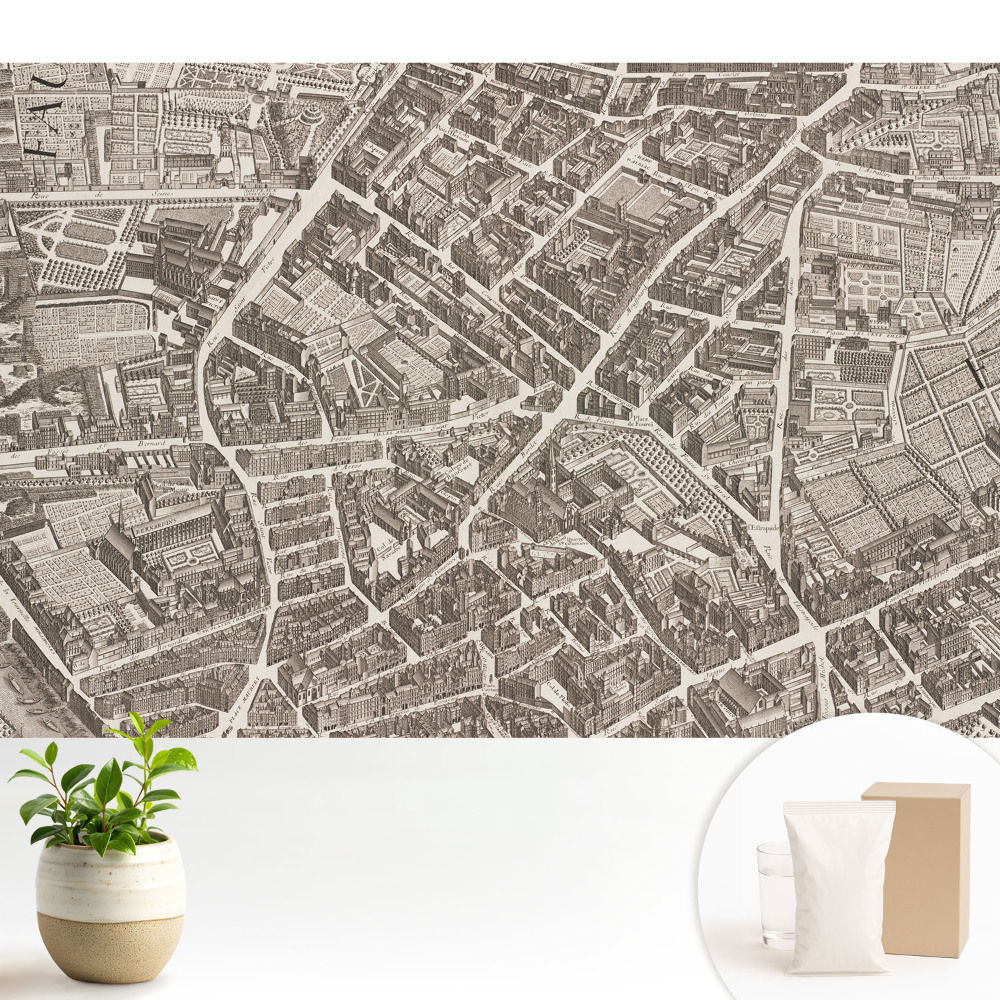 Tapeta s klasickou mapou města