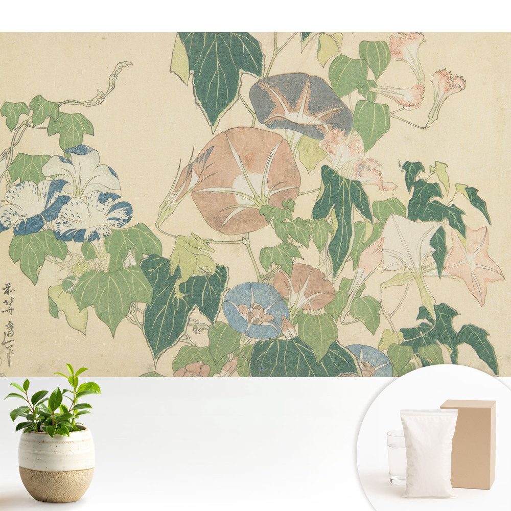 Tapeta do obývacího pokoje s motivem kvetoucí vinné révy evokující harmonii přírody