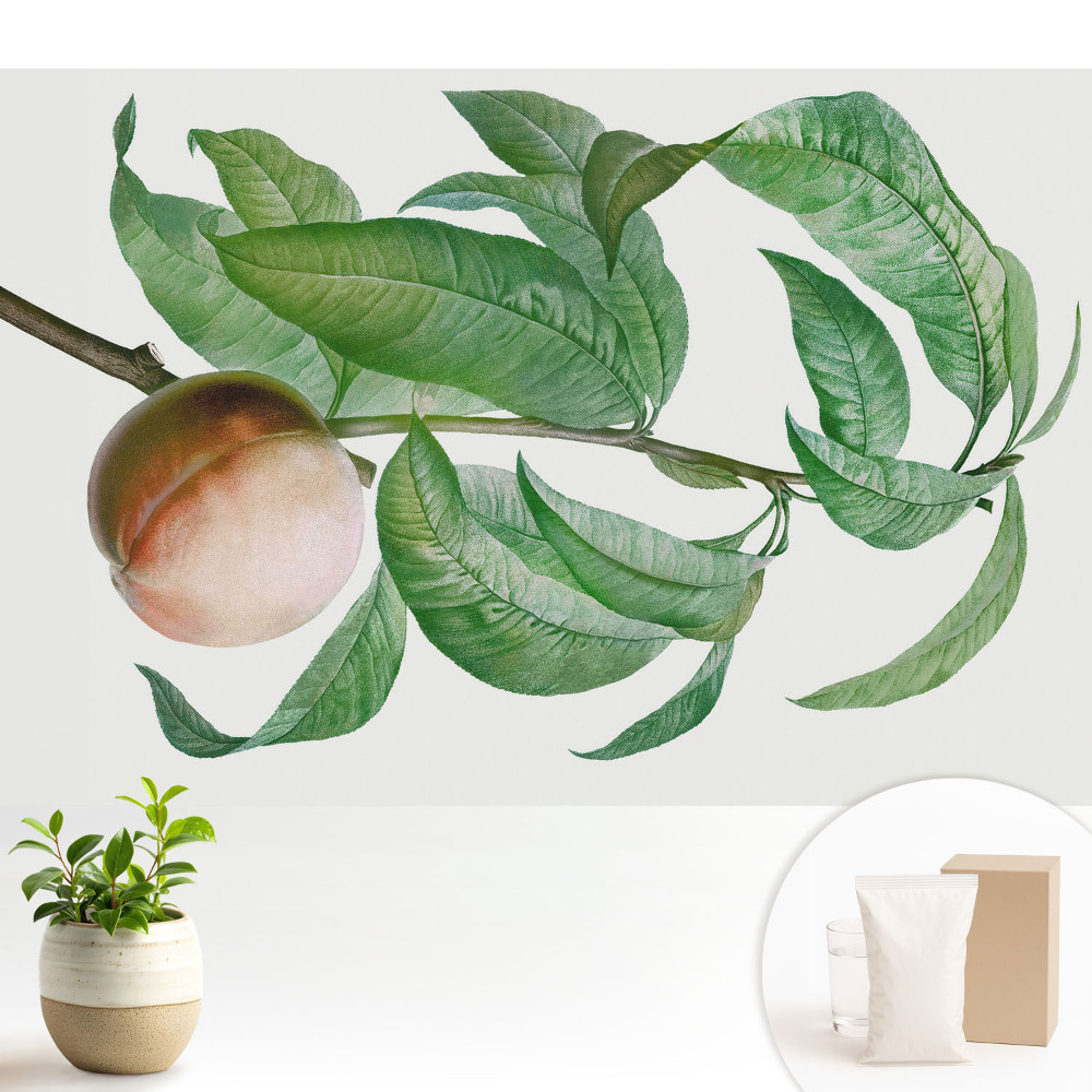 Tapeta na zeď s motivem broskví a listů v klasickém stylu