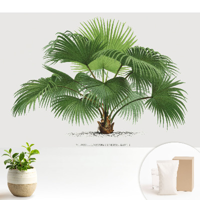 Samolepící tapeta Klasická elegance palmy