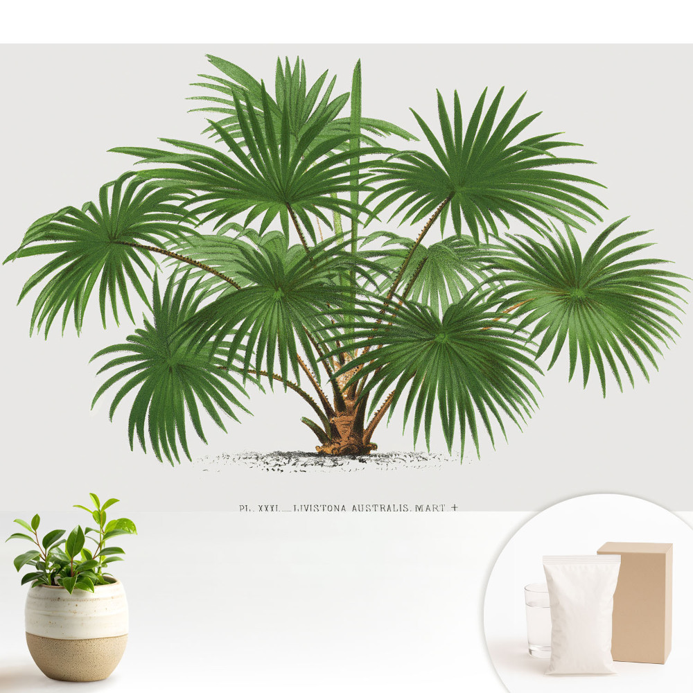 Tapeta do obývacího pokoje se symetrickým vzorem zelených palem