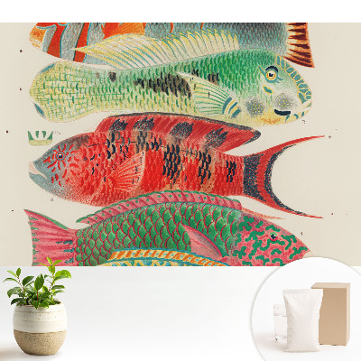 Tapeta na zeď s barevnými rybami v klasickém ilustrovaném stylu