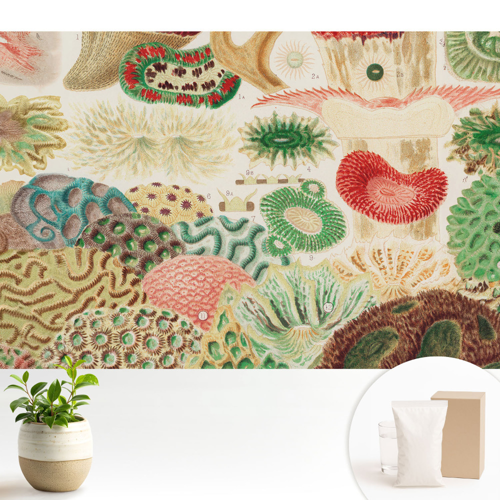 Samolepící tapeta s abstraktními organickými motivy a strukturami