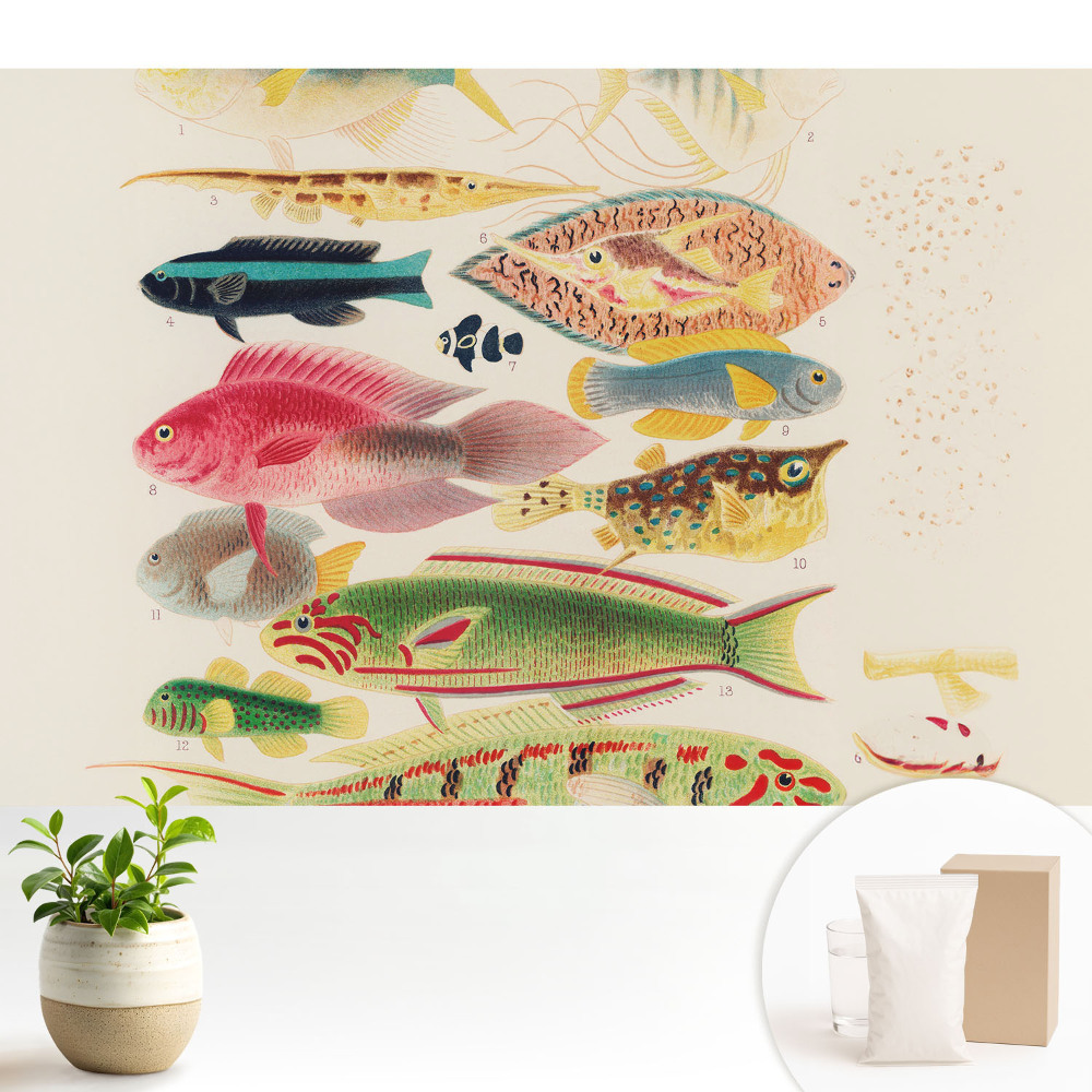 Tapeta do obývacího pokoje s motivem různých druhů ryb v klasickém stylu