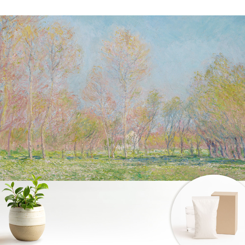 Tapeta na zeď s impresionistickou krajinou jarního parku
