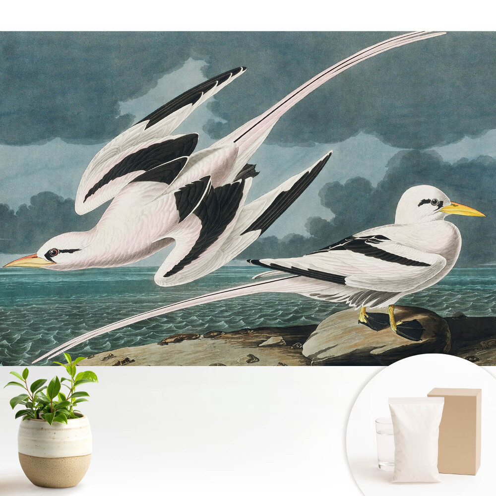 Tapeta na zeď s motivem klasického obrazu ptáků u břehu
