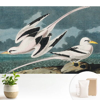 Tapeta na zeď Klasický obraz ptáků u břehu