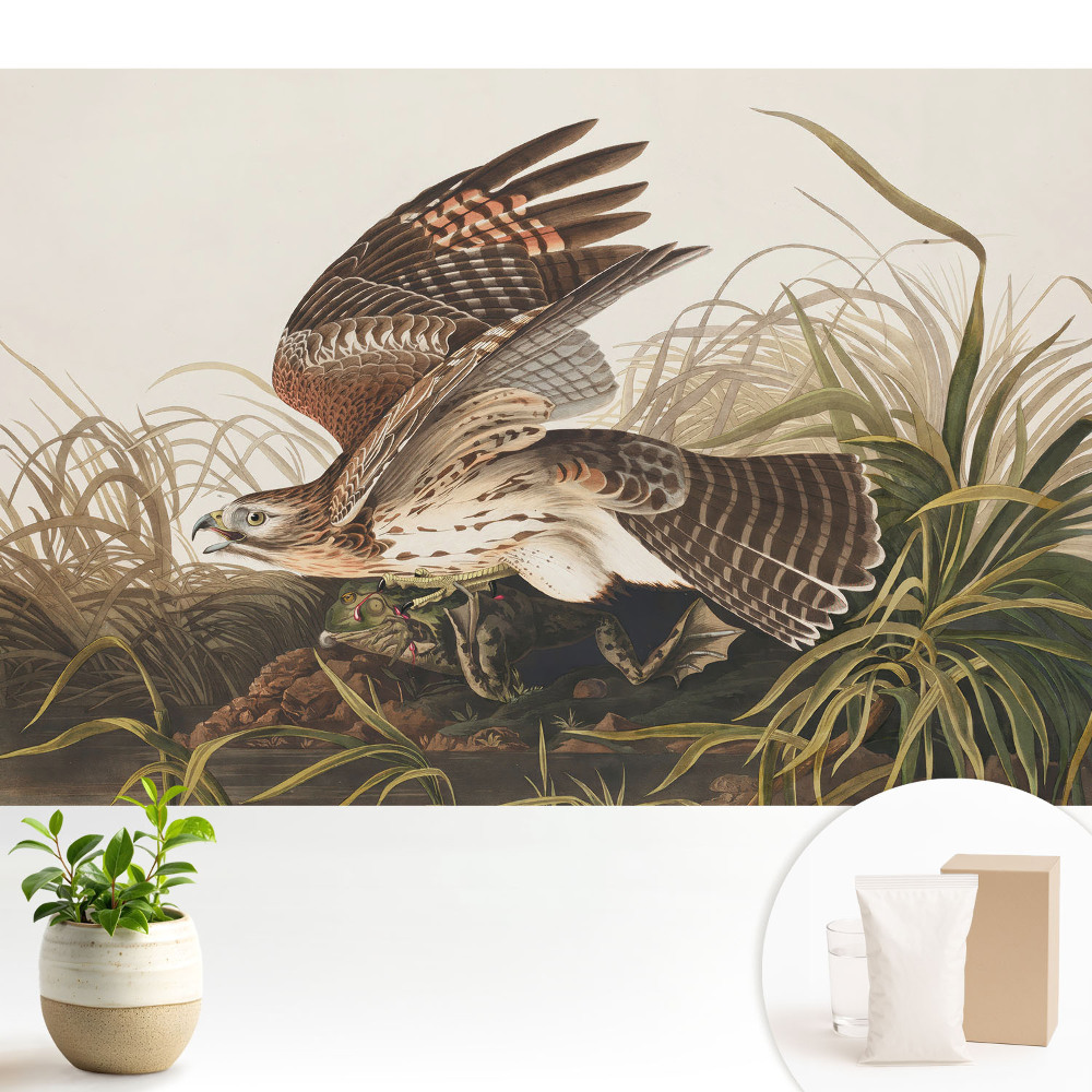 Samolepící tapeta s motivem ptáka v letu mezi trávou