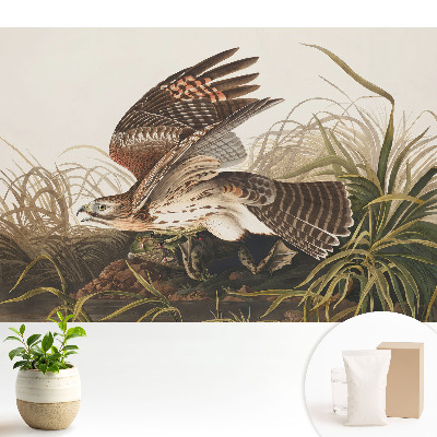 Samolepící tapeta Pták za letu mezi trávou