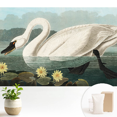 Tapeta Stylová labuť a lekníny klasická krása